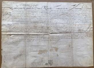 1 vue - Lettre de provision d’office de gouverneur de la ville et communauté des Sables-d’Olonne au sieur Pierre Petiot, le 14 mai 1745. Dim. : 45x60 cm. (ouvre la visionneuse)